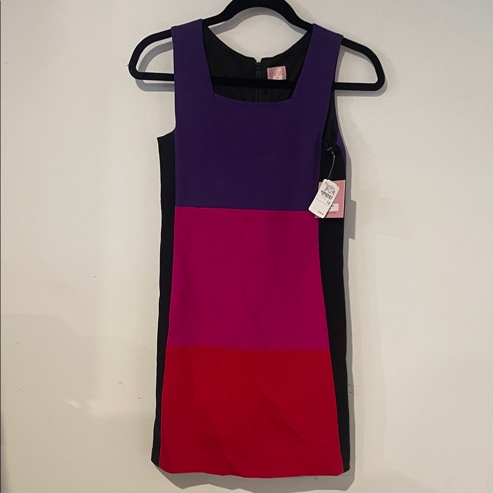 Zoe Ltd Purple and Black Dress NWT Sz 14